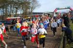 Deurne111211010202_small.jpg (3946 Byte)