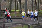 Deurne111211010216_small.jpg (3932 Byte)