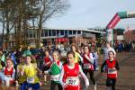 Deurne111211020168_small.jpg (3932 Byte)