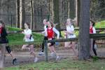 Deurne111211020172_small.jpg (3932 Byte)