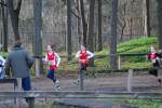 Deurne111211020178_small.jpg (3946 Byte)