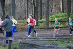 Deurne111211020182_small.jpg (3946 Byte)