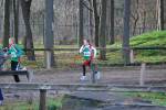 Deurne111211020183_small.jpg (3857 Byte)