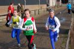 Deurne111211020313_small.jpg (3698 Byte)