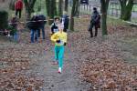 Deurne111211020365_small.jpg (3698 Byte)