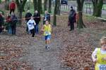 Deurne111211020374_small.jpg (3946 Byte)