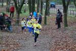 Deurne111211020382_small.jpg (3946 Byte)