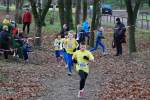 Deurne111211020383_small.jpg (3857 Byte)