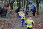 Deurne111211020385_small.jpg (3698 Byte)