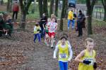 Deurne111211030003_small.jpg (3857 Byte)