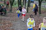 Deurne111211030004_small.jpg (3932 Byte)