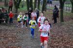 Deurne111211030007_small.jpg (3857 Byte)