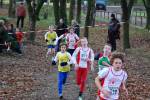 Deurne111211030008_small.jpg (3932 Byte)