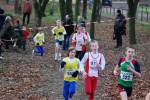 Deurne111211030009_small.jpg (3698 Byte)