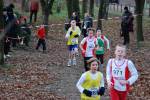 Deurne111211030010_small.jpg (3946 Byte)