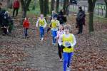 Deurne111211030016_small.jpg (3932 Byte)