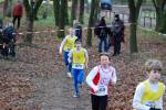 Deurne111211030018_small.jpg (3946 Byte)