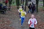 Deurne111211030019_small.jpg (3857 Byte)