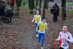 Deurne111211030020_small.jpg (3932 Byte)