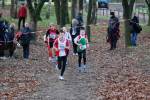 Deurne111211030024_small.jpg (3932 Byte)