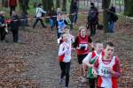 Deurne111211030030_small.jpg (3946 Byte)