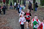 Deurne111211030031_small.jpg (3857 Byte)