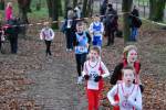 Deurne111211030032_small.jpg (3932 Byte)