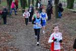 Deurne111211030033_small.jpg (3698 Byte)