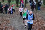 Deurne111211030035_small.jpg (3857 Byte)