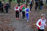 Deurne111211030040_small.jpg (3932 Byte)