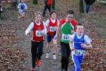 Deurne111211030044_small.jpg (3932 Byte)