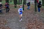 Deurne111211030048_small.jpg (3932 Byte)