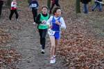 Deurne111211030051_small.jpg (3857 Byte)