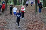 Deurne111211030056_small.jpg (3932 Byte)