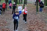 Deurne111211030058_small.jpg (3946 Byte)