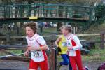 Deurne111211030074_small.jpg (3946 Byte)