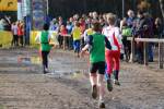 Deurne111211030181_small.jpg (3698 Byte)