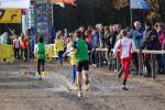 Deurne111211030182_small.jpg (3946 Byte)