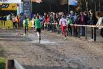 Deurne111211030184_small.jpg (3932 Byte)