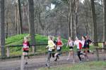 Deurne111211030294_small.jpg (3946 Byte)