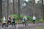 Deurne111211030299_small.jpg (3857 Byte)