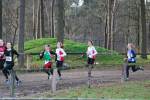 Deurne111211030300_small.jpg (3932 Byte)