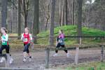 Deurne111211030308_small.jpg (3932 Byte)