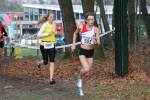 Deurne111211040004_small.jpg (3932 Byte)