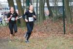 Deurne111211040015_small.jpg (3857 Byte)