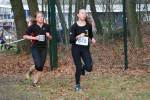 Deurne111211040016_small.jpg (3932 Byte)