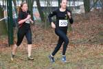 Deurne111211040017_small.jpg (3698 Byte)