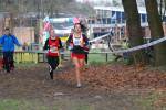 Deurne111211040034_small.jpg (3946 Byte)