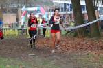 Deurne111211040036_small.jpg (3932 Byte)