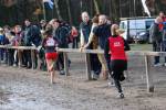 Deurne111211040143_small.jpg (3857 Byte)